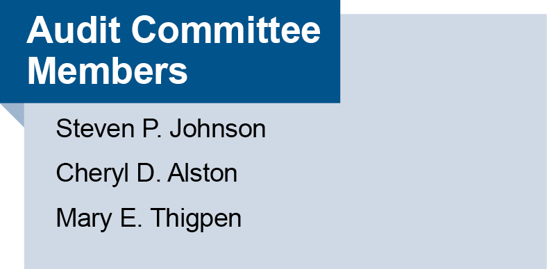 auditcommittee1.jpg